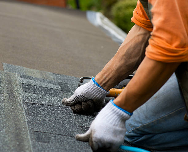 Best Roof Waterproofing Services  in New Carrollton, MD