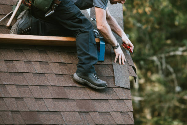Roof Gutter Cleaning in New Carrollton, MD